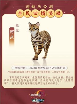 虚空之称天龙八部私服